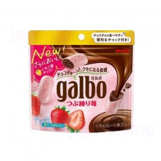 메이지 가르보 초콜릿 딸기 파우치 외 1종