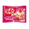 네슬레 일본 킷캣 초콜릿 쇼트 케이크맛