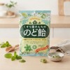일본 쿠스리야산치 목캔디 상쾌한 민트맛 초록 75g