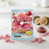 부르봉 페투치네 구미 레드키위맛 /일본 젤리, 47g, 1개