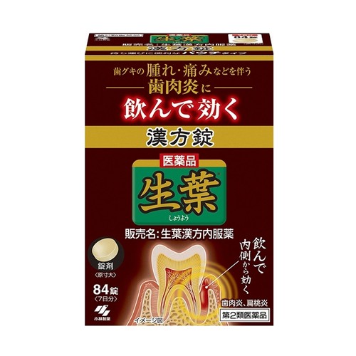 쇼요 한방정 84정 (7일분)_생엽