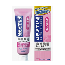 라이온 덴토헤르스 약용 치약 시미르블록 85g _ 덴트헬스_지각과민증상에