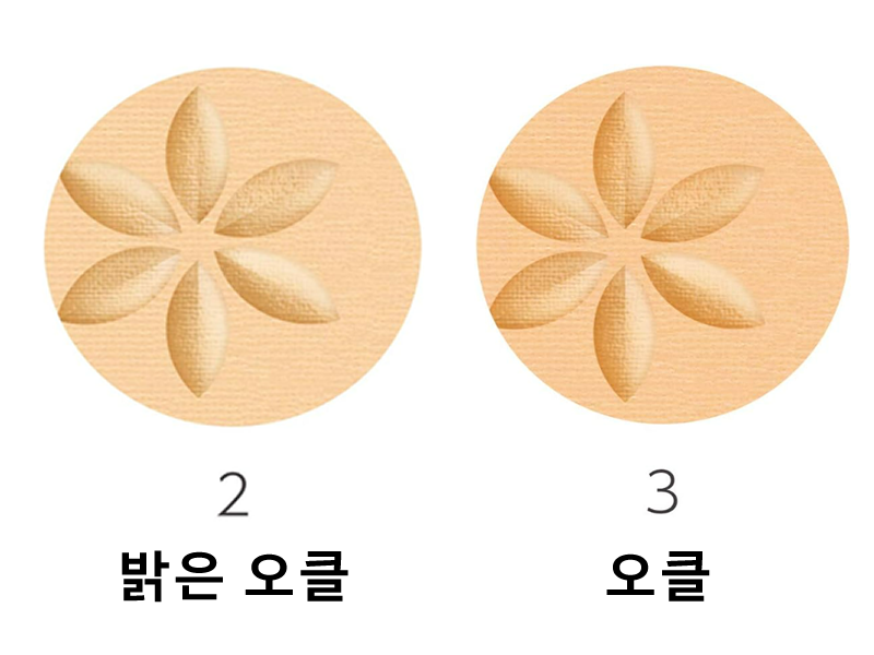 세잔느 울트라 커버 UV 팩트 11g 파운데이션 2종_CEZANNE