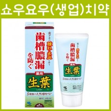 쇼요(생엽)치약 100g