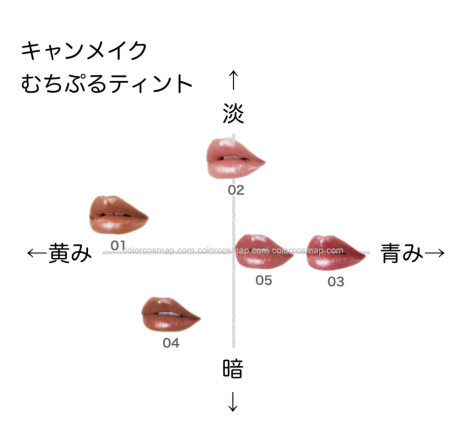 CANMAKE 캔메이크 무치푸루 틴트 스틱 립 플럼퍼